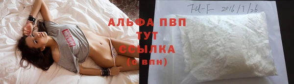 кокс Арсеньев