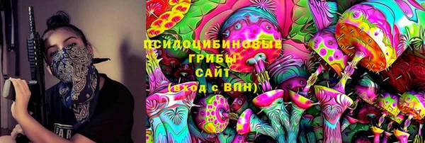 МДПВ Алзамай