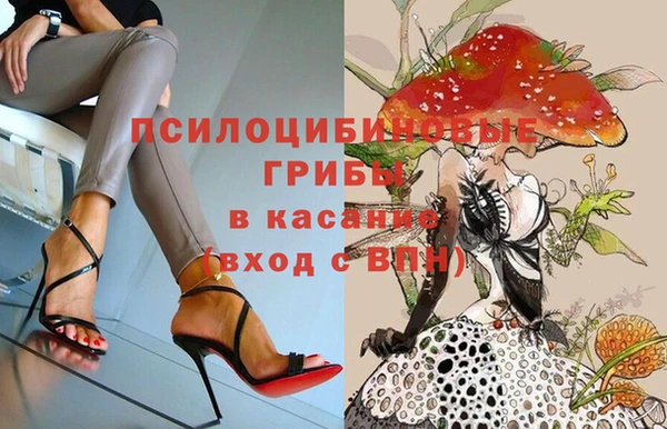 кокс Арсеньев