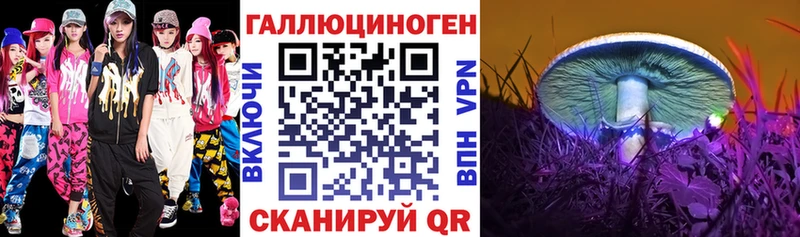 Псилоцибиновые грибы Psilocybe  даркнет сайт  Зеленоградск 